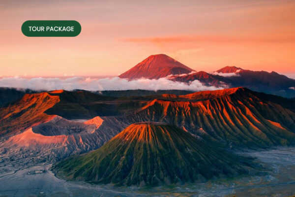 paket tour - Midnight Trip Sunrise Bromo